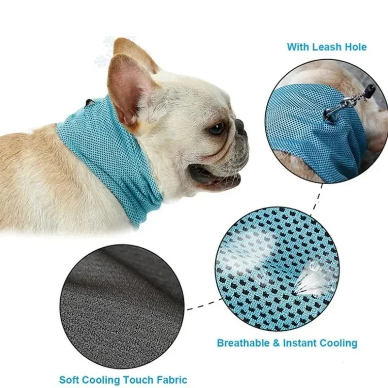 Dog Cooling Bandana with Leash Hole 2