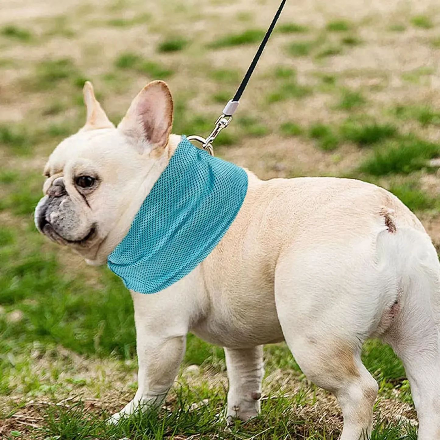 Dog Cooling Bandana with Leash Hole