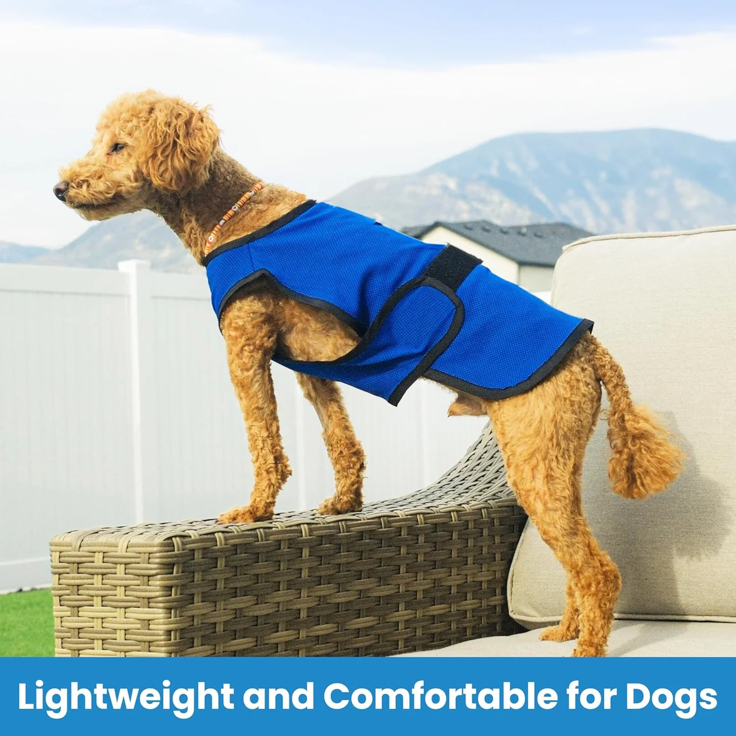 Dog Cooling Sun Protective Coat