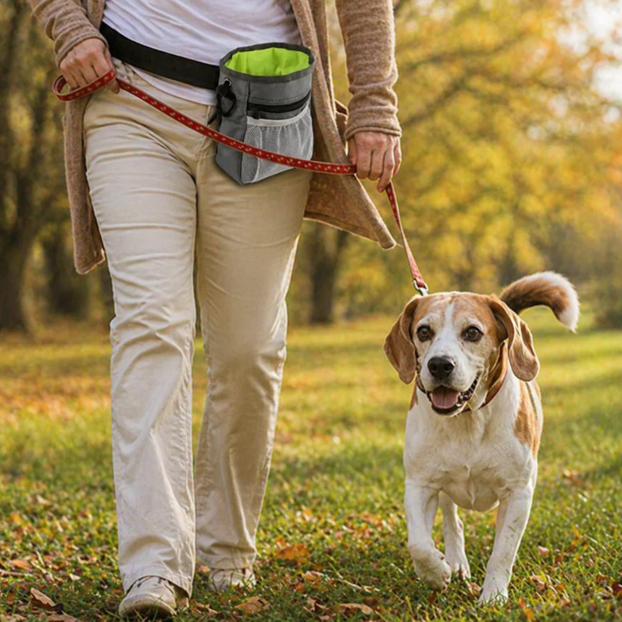 Dog Treat Pouch Crossbody