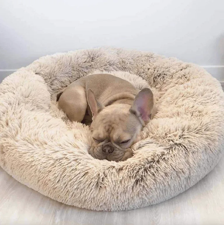 Donut Dog Bed | Anti-Anxiety & Orthopedic alternate view