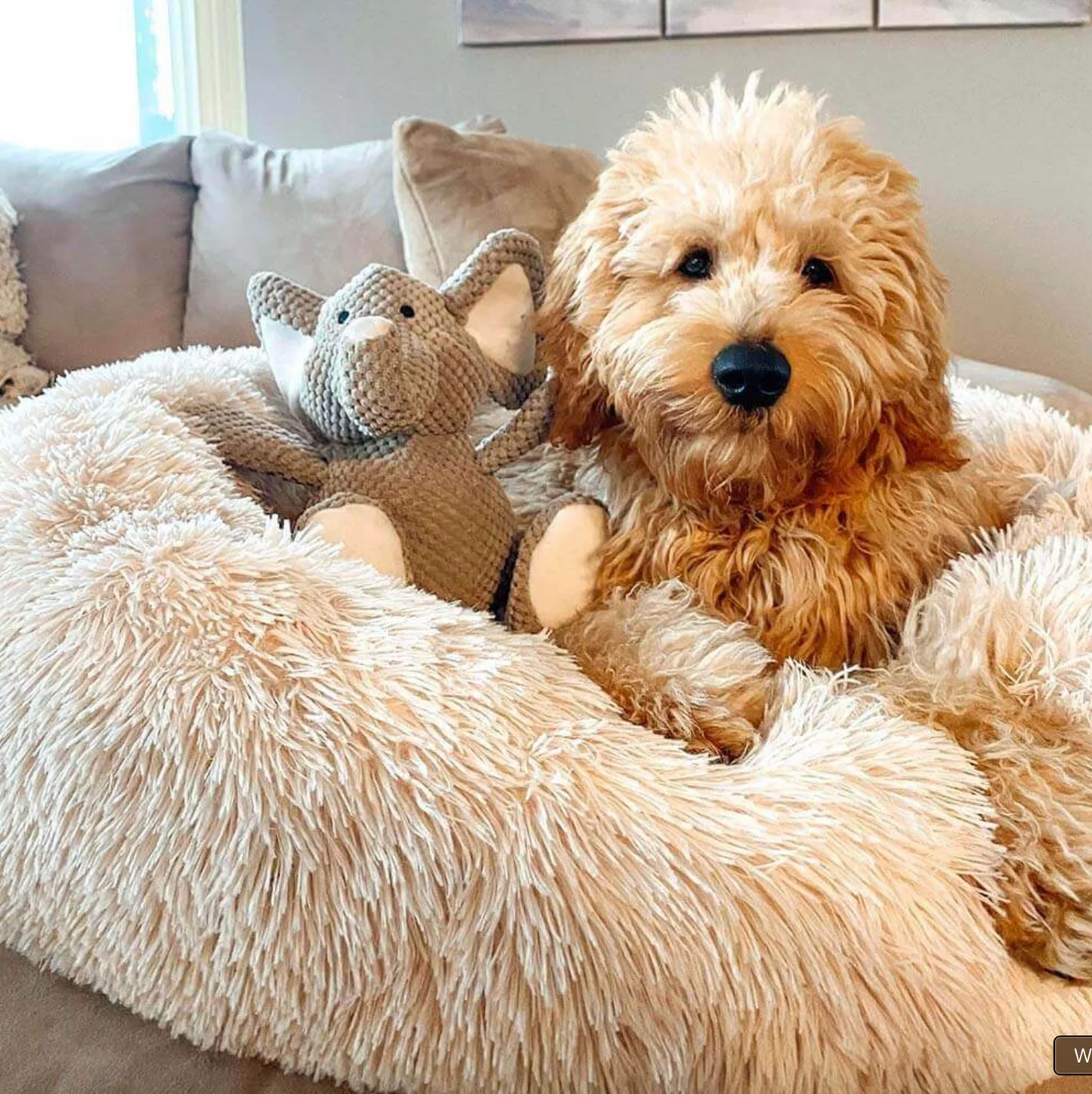 Donut Dog Bed | Anti-Anxiety & Orthopedic