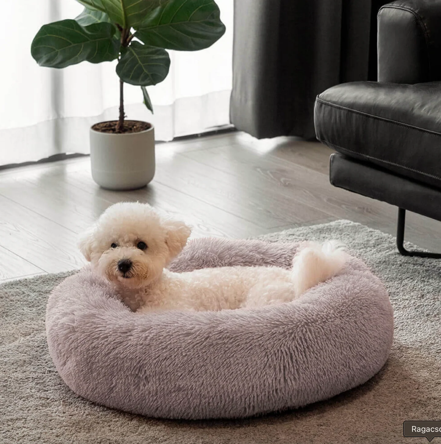 Donut Dog Bed | Anti-Anxiety & Orthopedic