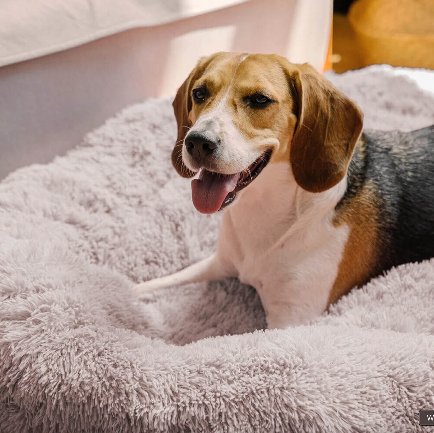Donut Dog Bed | Anti-Anxiety & Orthopedic