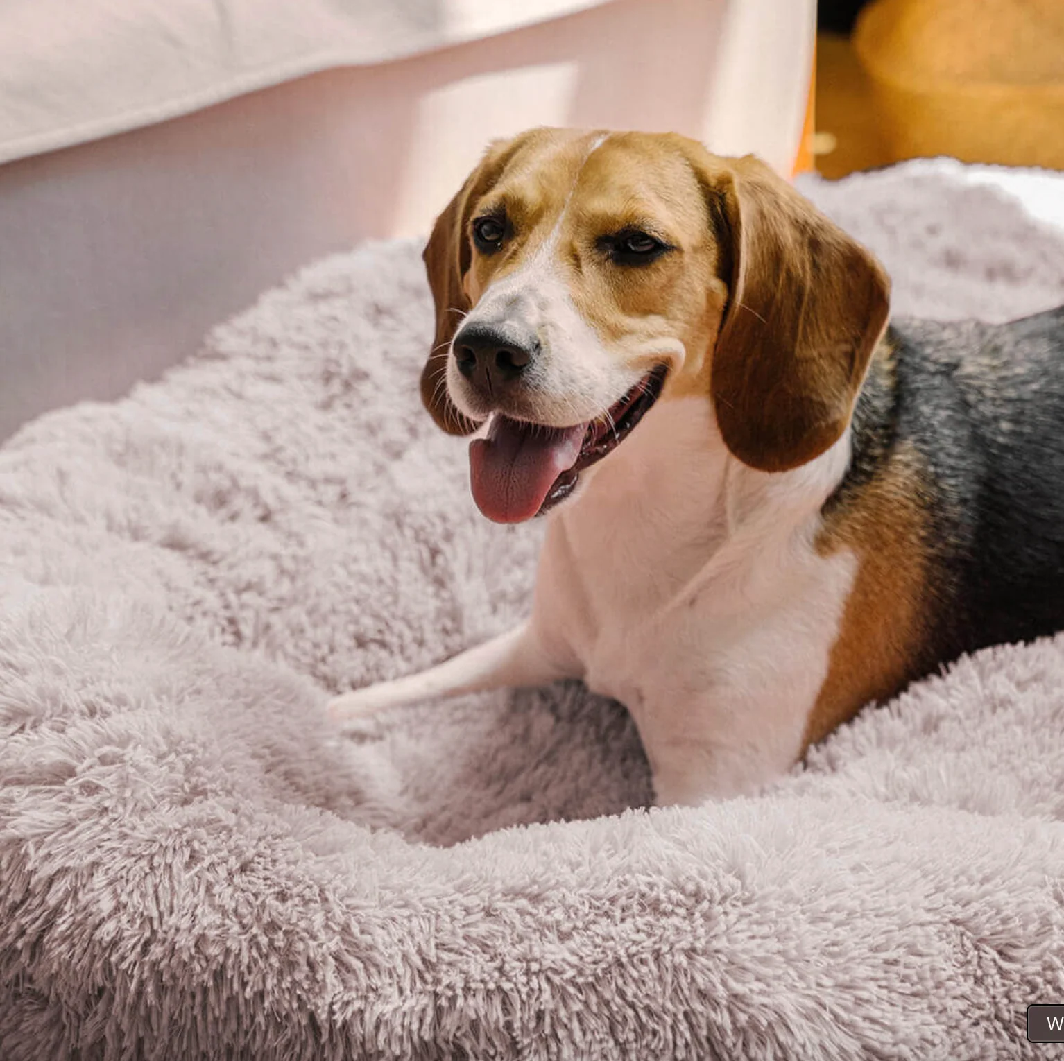 Donut Dog Bed | Anti-Anxiety & Orthopedic 7