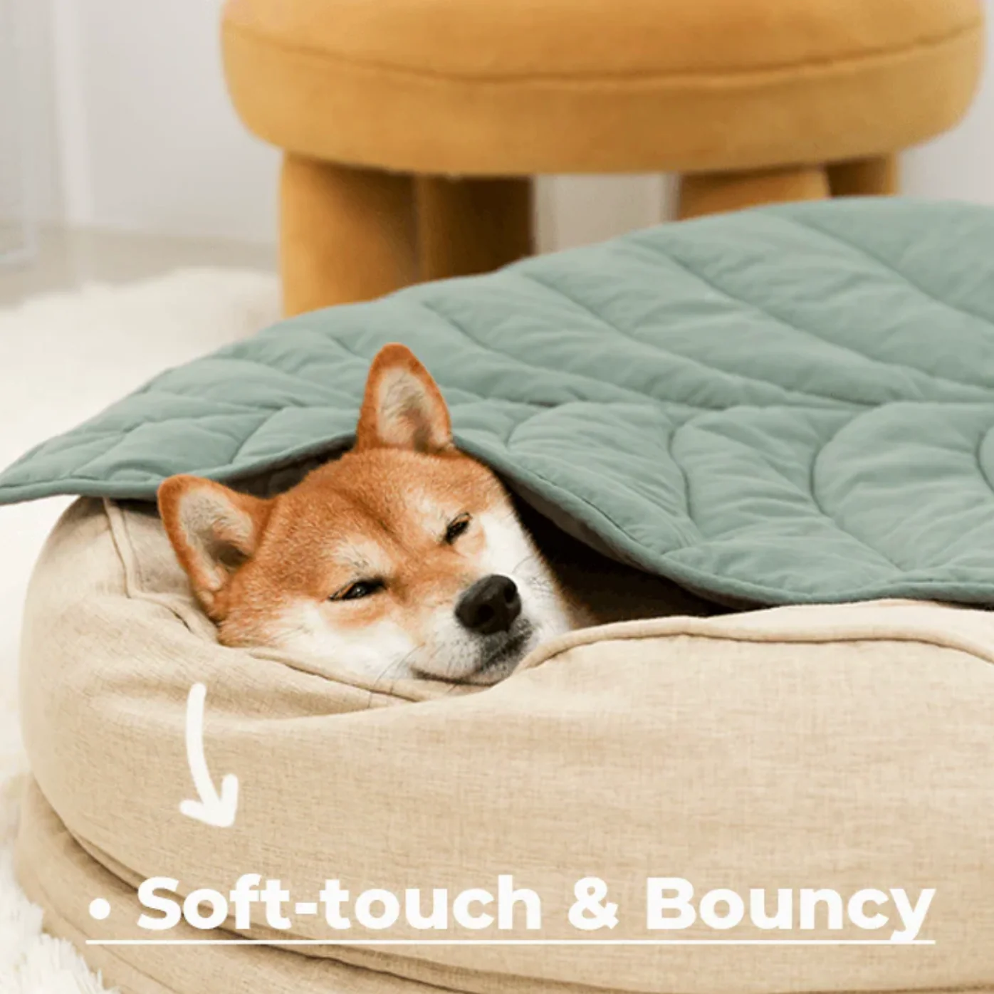 Donut Dog Bed - Washable 5
