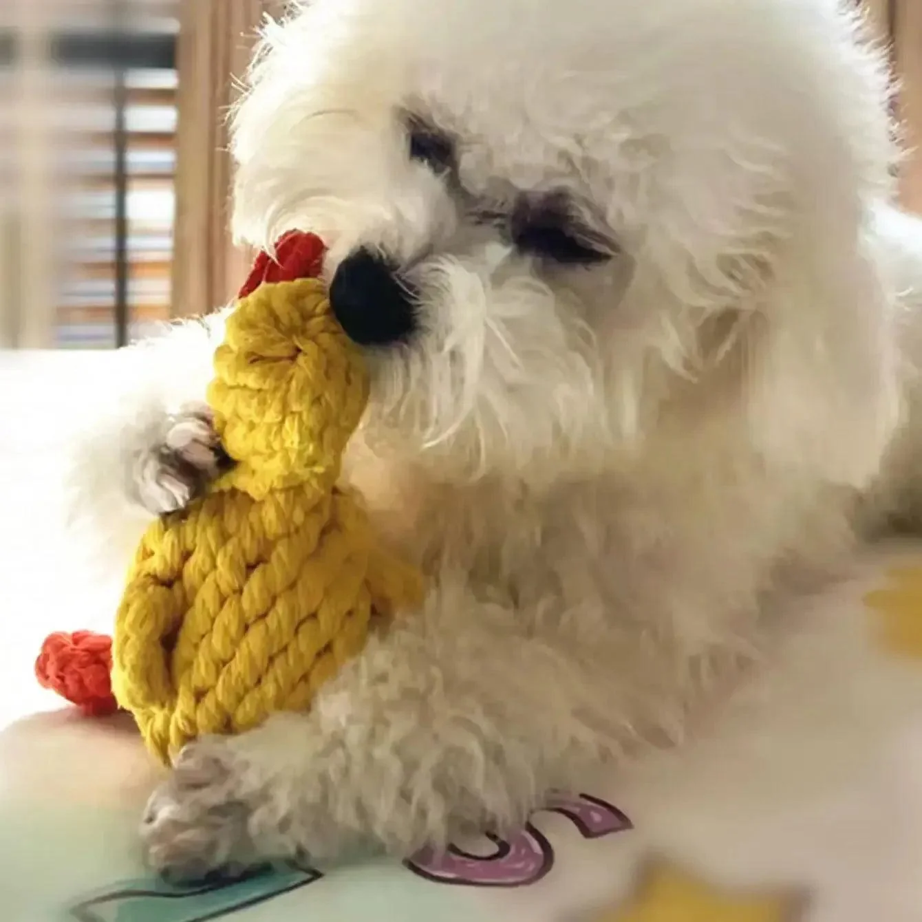Duck Rope Chew Toy for Dogs 2