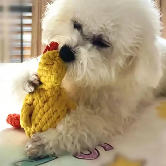 Duck Rope Chew Toy for Dogs alternate view