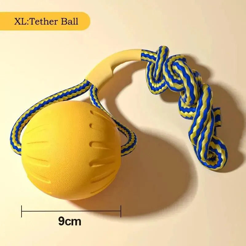 Durable Dog Toy Set – Flying Disc, Ball, Tug & Pull Ring 10