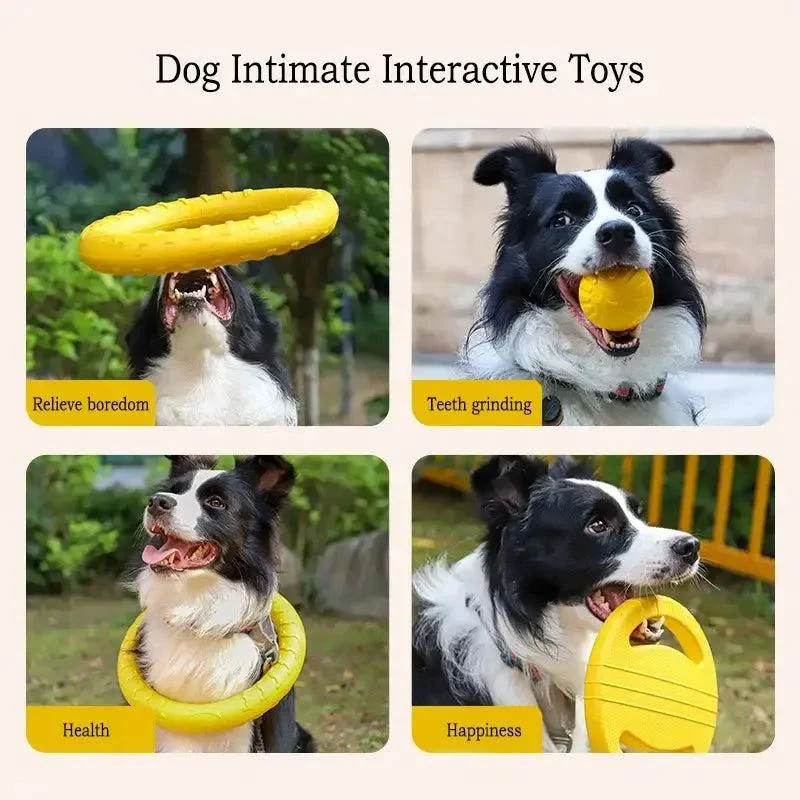 Durable Dog Toy Set – Flying Disc, Ball, Tug & Pull Ring 4