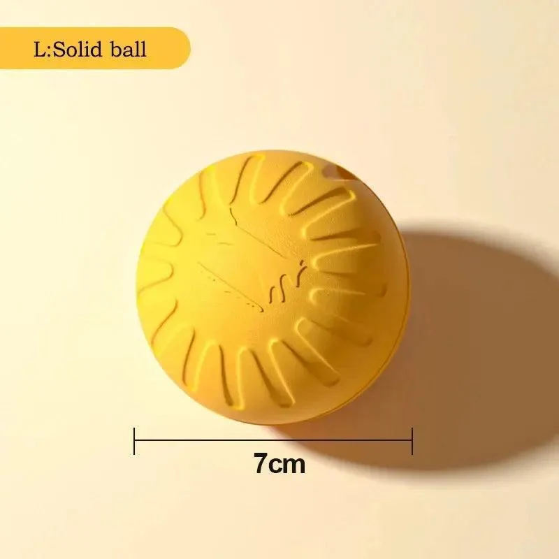 Durable Dog Toy Set – Flying Disc, Ball, Tug & Pull Ring 7