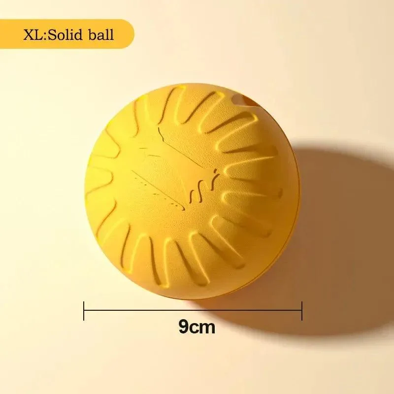 Durable Dog Toy Set – Flying Disc, Ball, Tug & Pull Ring 8