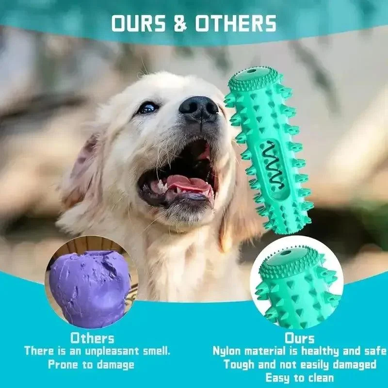 Durable Vet-Approved Dental Stick with Milk Flavor & Squeak 4