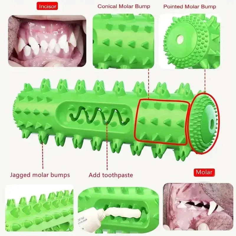 Durable Vet-Approved Dental Stick with Milk Flavor & Squeak 5