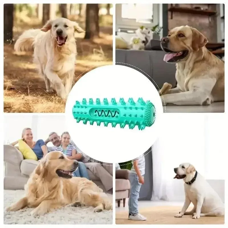 Durable Vet-Approved Dental Stick with Milk Flavor & Squeak 6