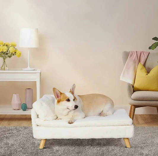 Elevated Small Dog Sofa Bed | With Orthopedic Cushion & Waterproof Cover alternate view