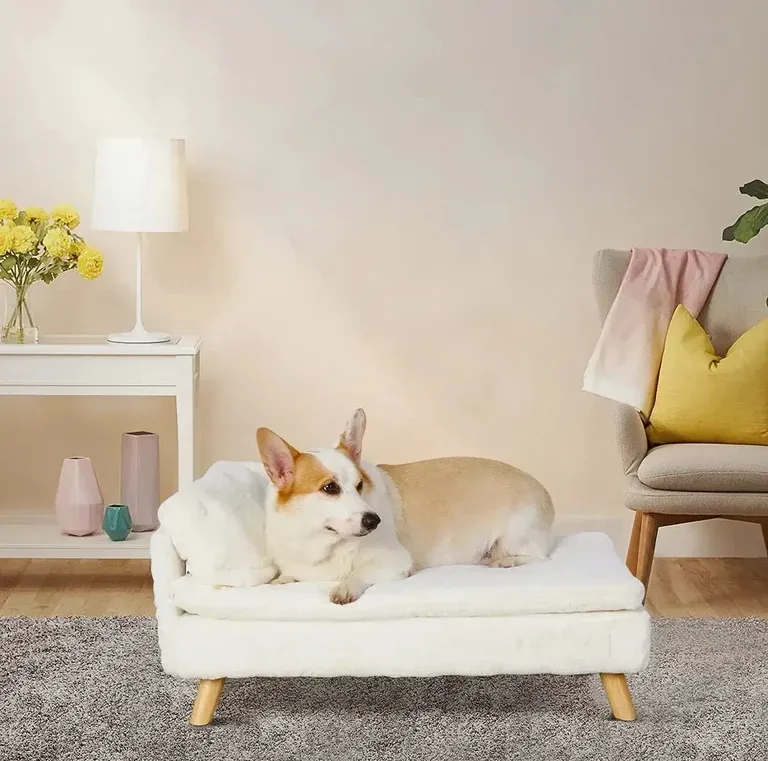 Elevated Small Dog Sofa Bed | With Orthopedic Cushion & Waterproof Cover alternate view