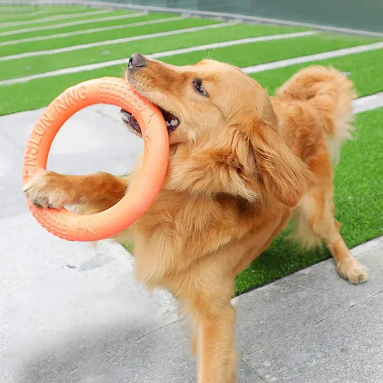 EVA Dog Flying Ring Toy