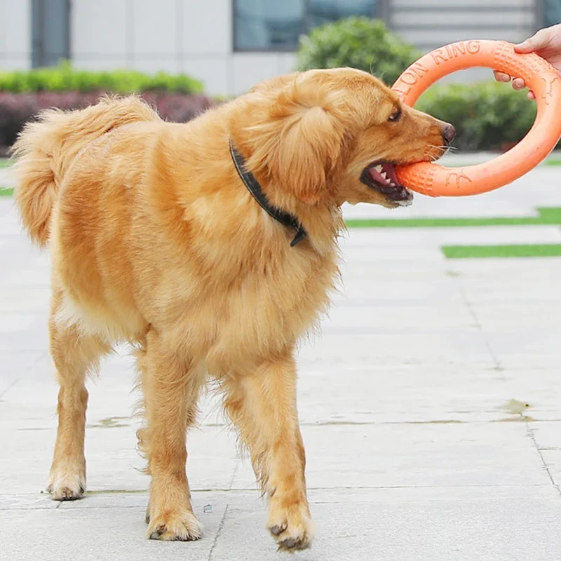 EVA Dog Flying Ring Toy 3
