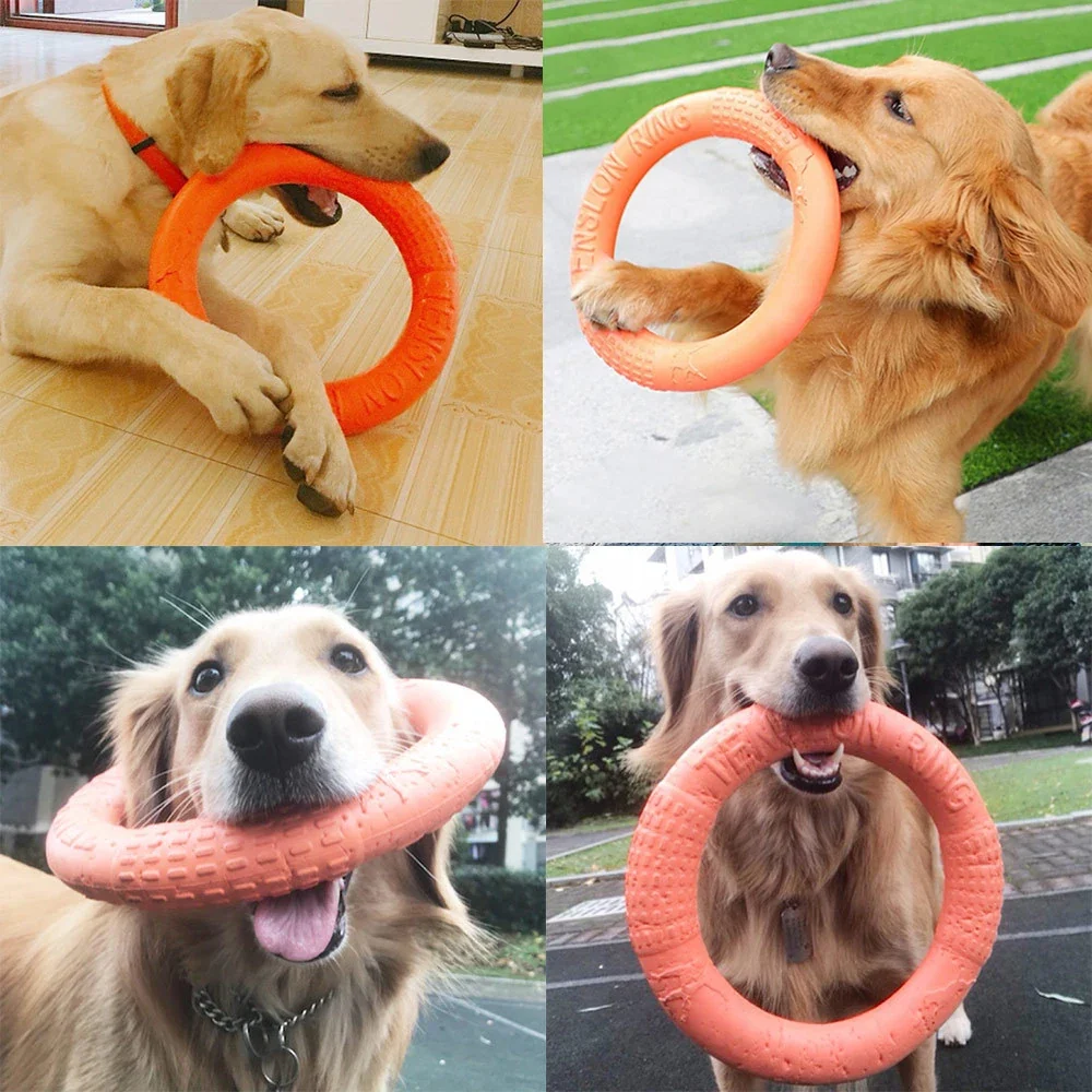 EVA Dog Flying Ring Toy 4