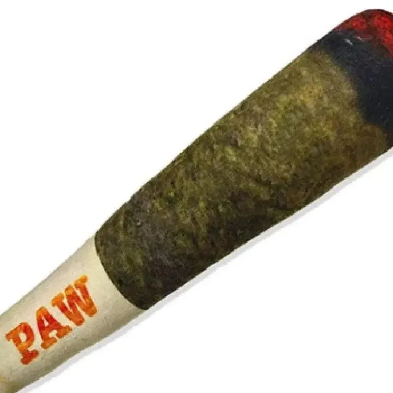 Funny Joint Squeaky Dog Toy 3