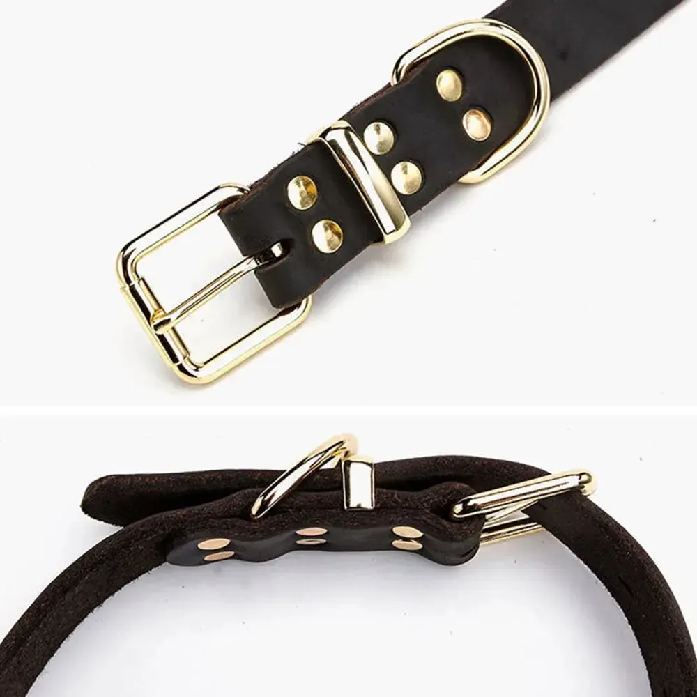 Genuine Leather Dog Collar 2