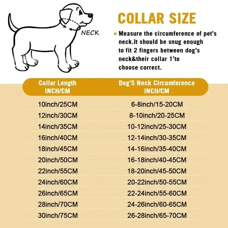 Gold Chain Dog Collar for Strong Dogs – Stainless Steel 5