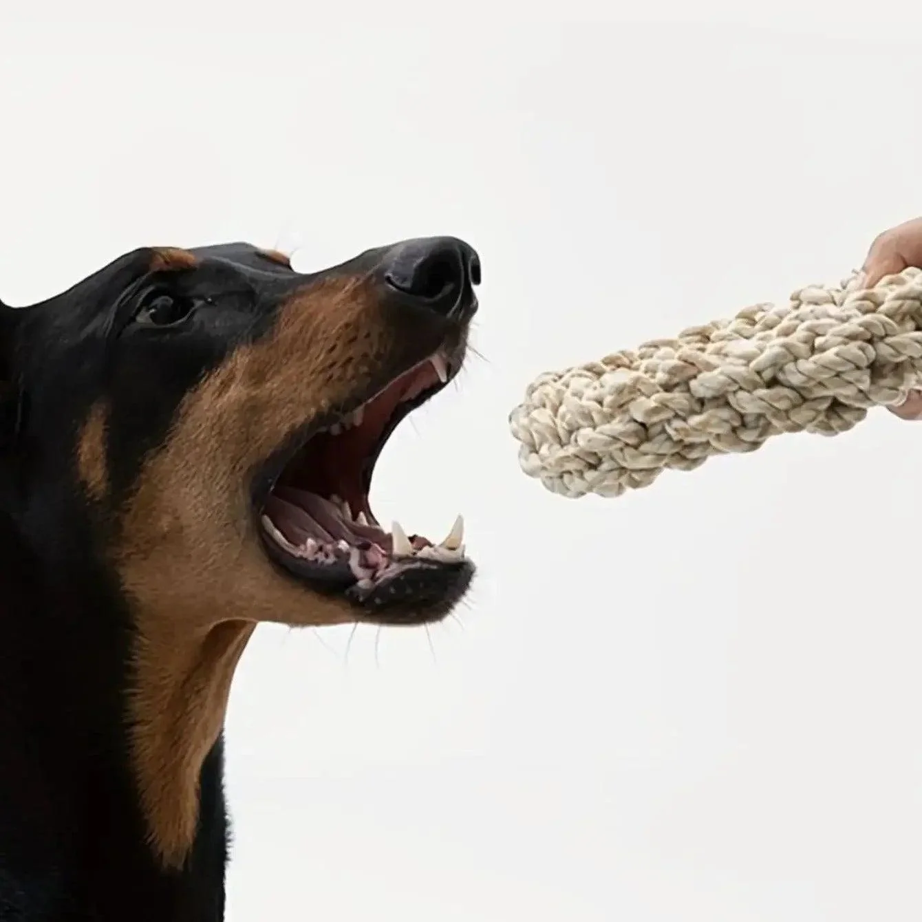 Heavy-Duty Dog Rope Toy for Large Breeds 4