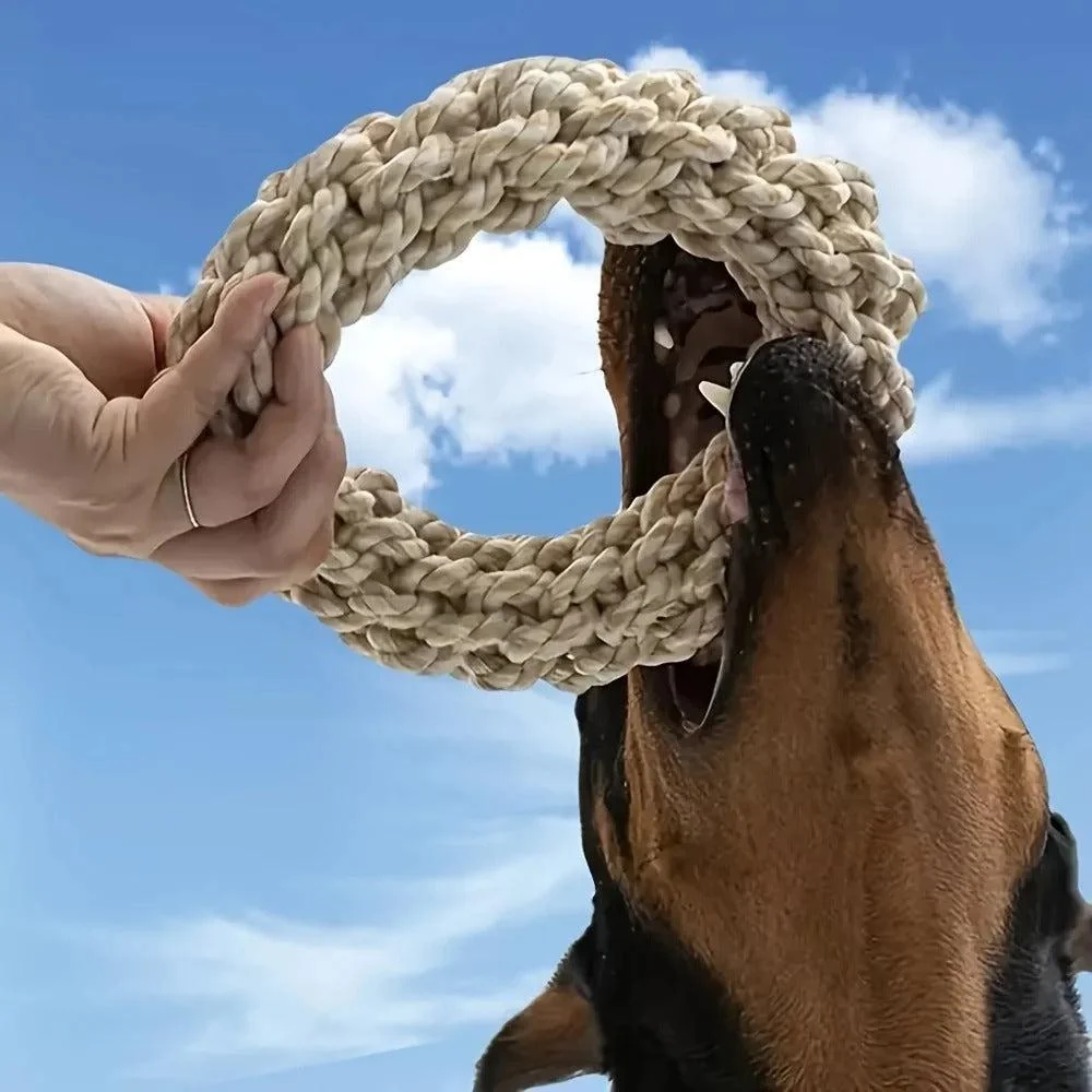 Heavy-Duty Dog Rope Toy for Large Breeds 5