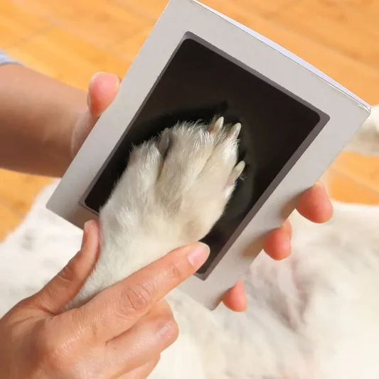 Inkless Dog Paw Print Kit alternate view