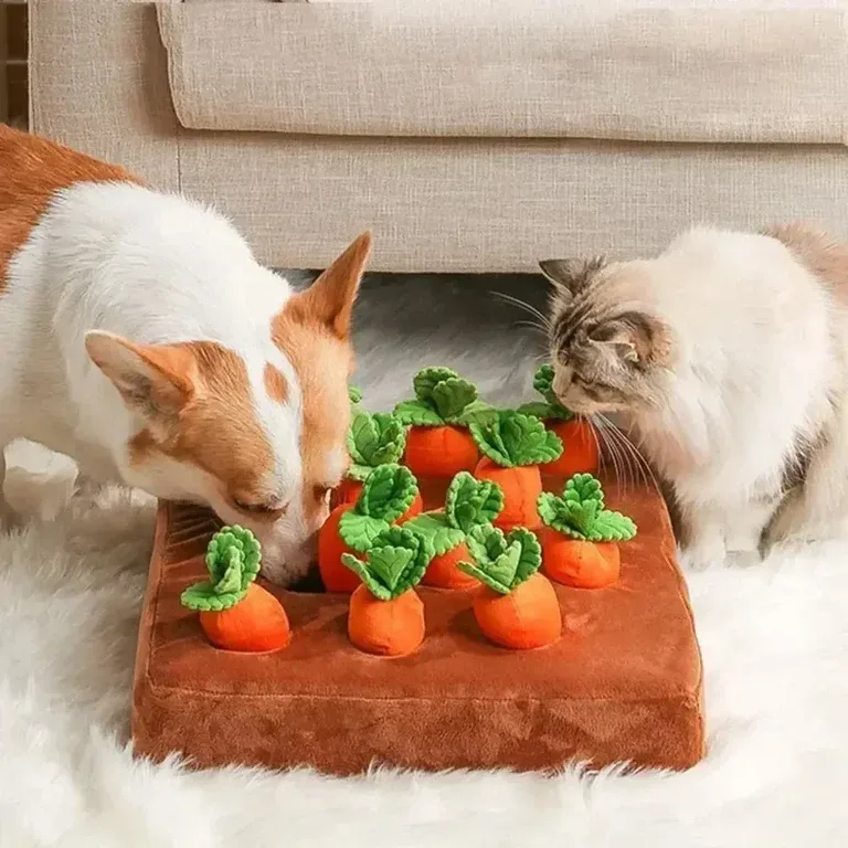 Interactive Carrot Snuffle Mat Enrichment Toy