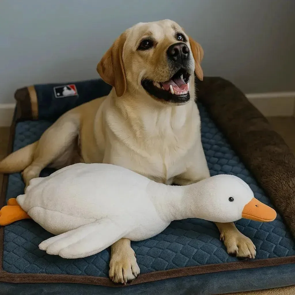 Large Squeaky Duck Dog Toy 3