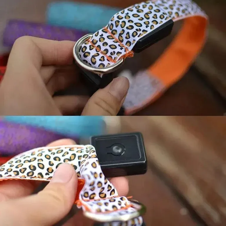 Leopard Print LED Dog Collar – Light Up, Adjustable & Safe alternate view