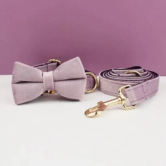 Light Purple Velvet Dog Collar alternate view
