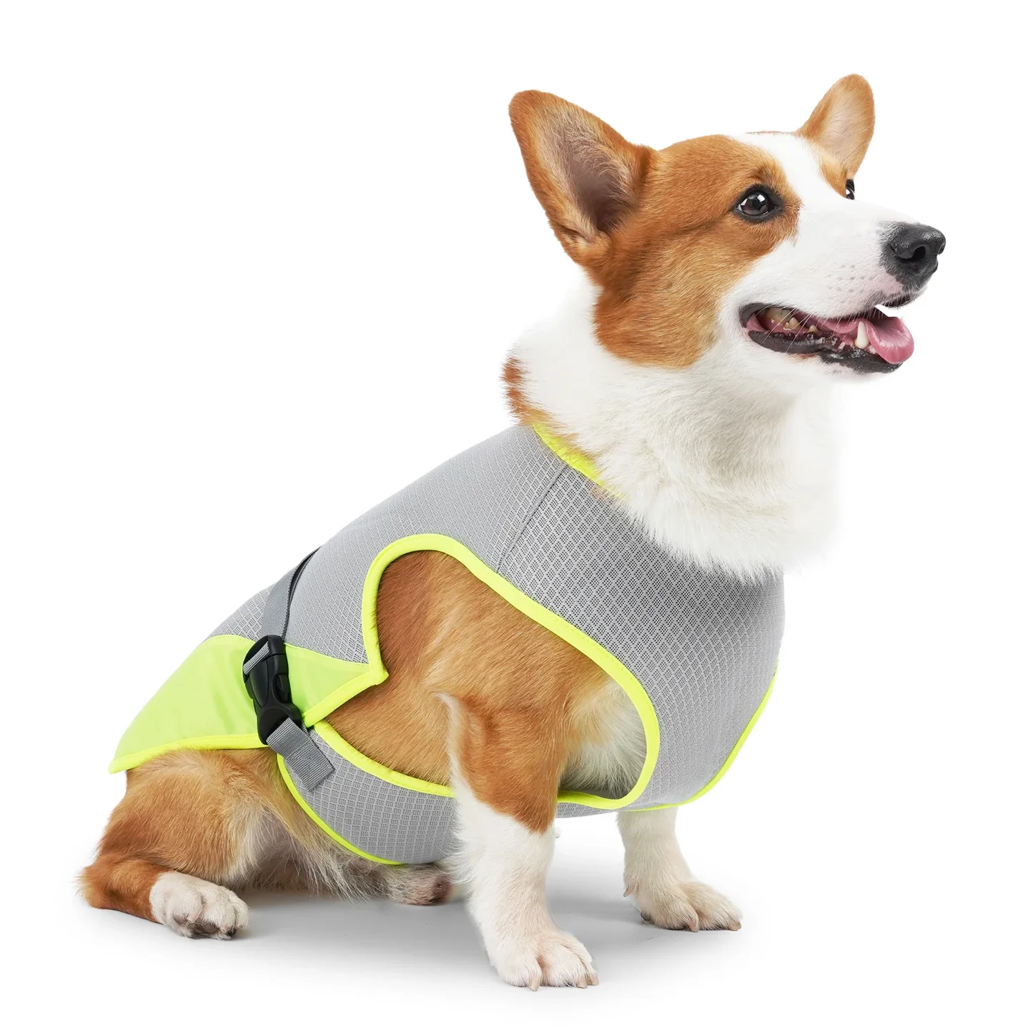 Lightweight Dog Cooling Vest with Reflective Strips
