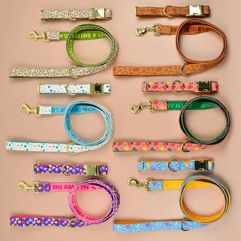 Luxury Adjustable Dog Collar & Leash Set
