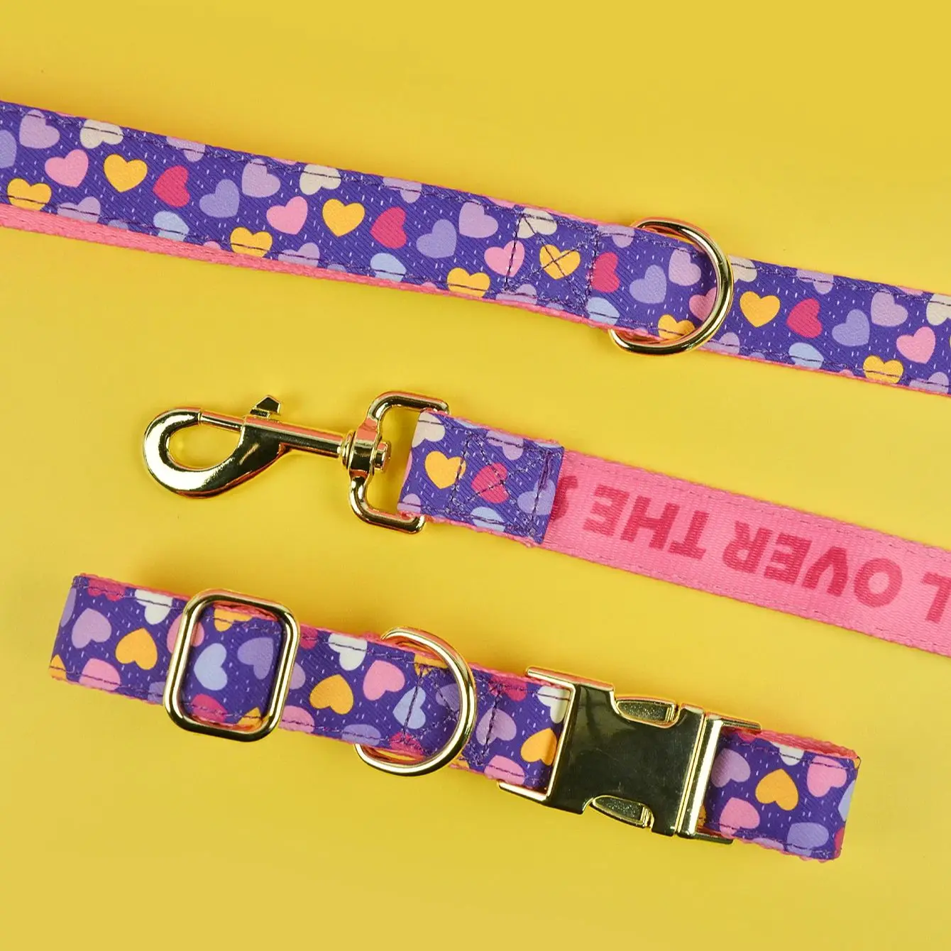 Luxury Adjustable Dog Collar & Leash Set 2