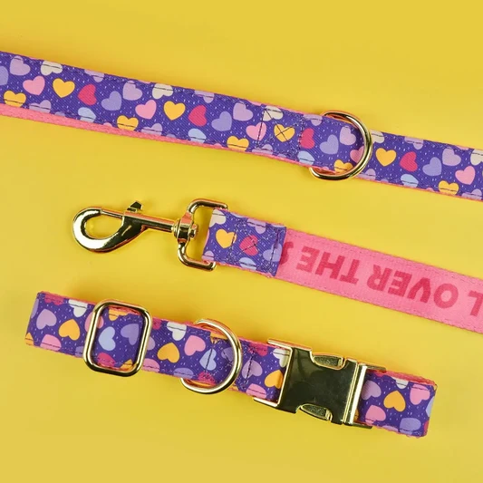Luxury Adjustable Dog Collar & Leash Set alternate view