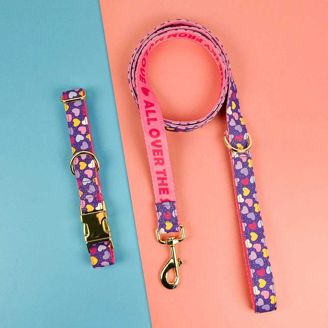 Luxury Adjustable Dog Collar & Leash Set 3