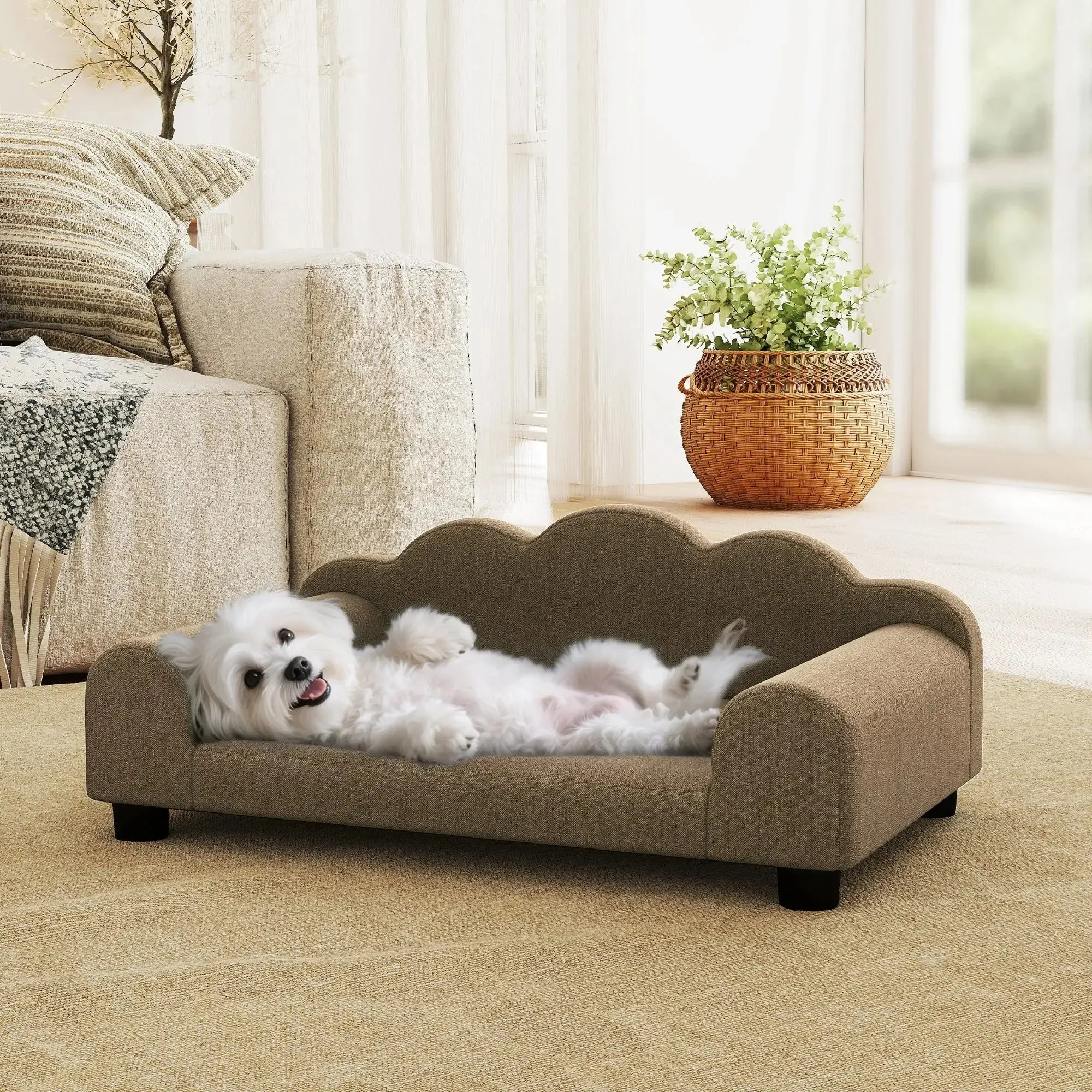 Luxury Small Dog Sofa Bed with Backrest and Washable Cushion 4