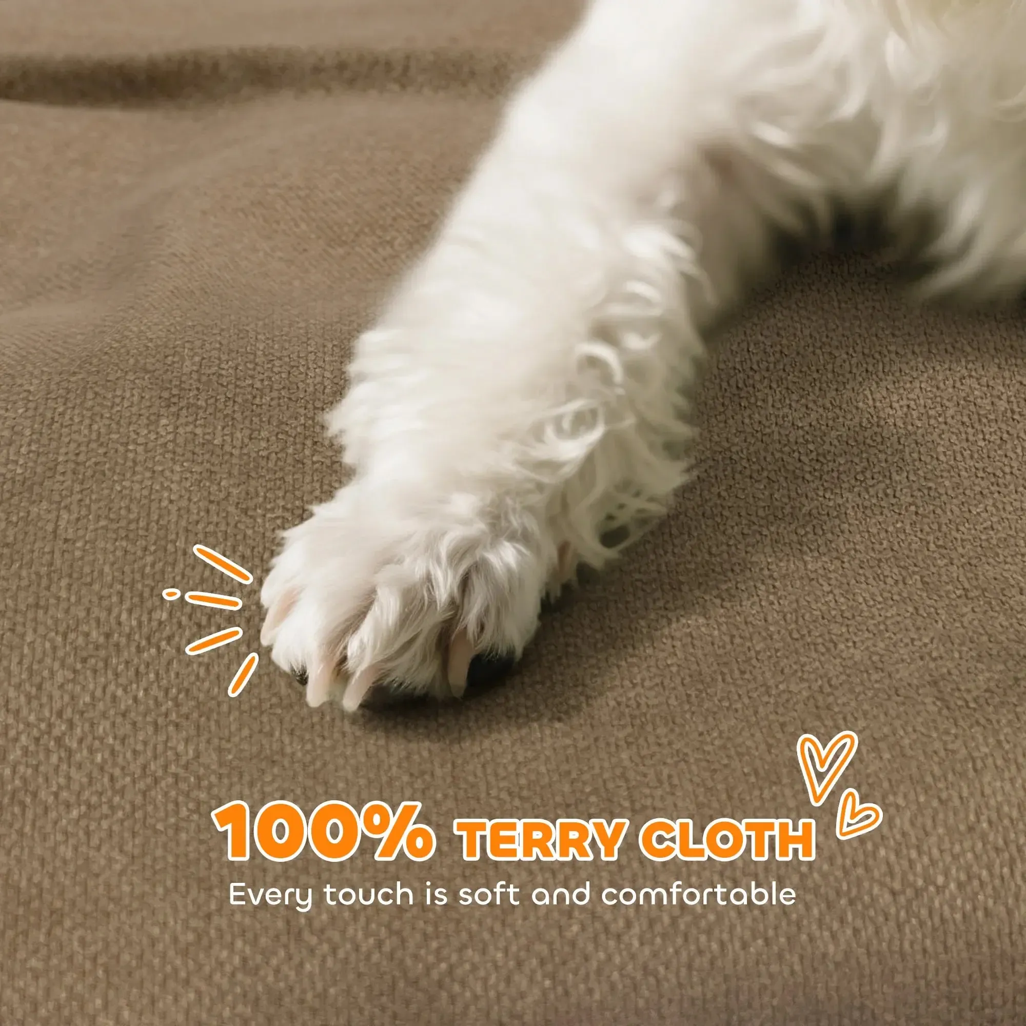Luxury Small Dog Sofa Bed with Backrest and Washable Cushion 5