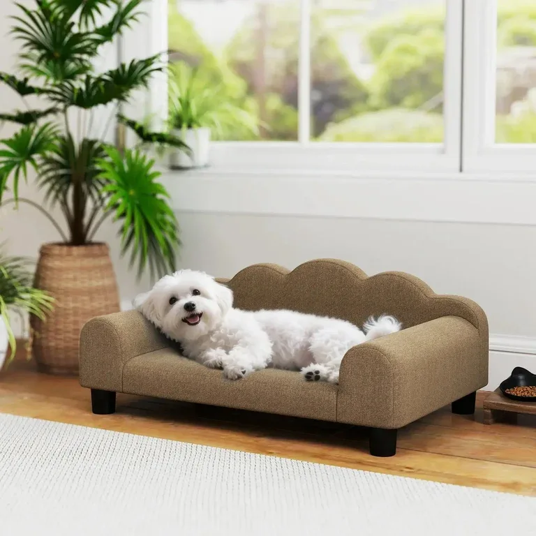 Luxury Small Dog Sofa Bed with Backrest and Washable Cushion