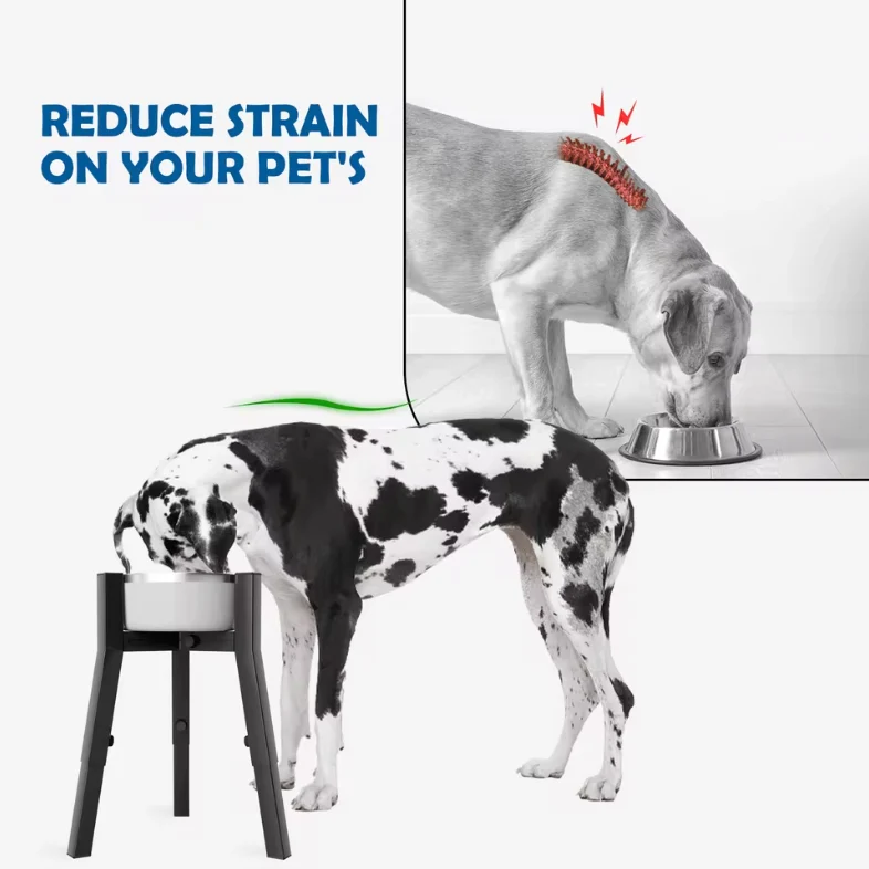 Metal Elevated Dog Bowl Stand for Large Dogs 3