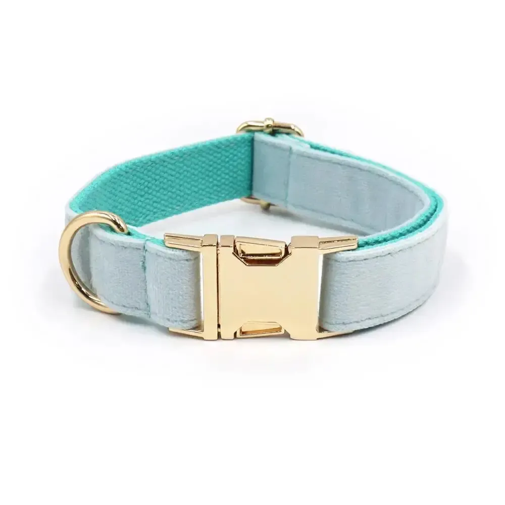 Mint Green Velvet Dog Collar