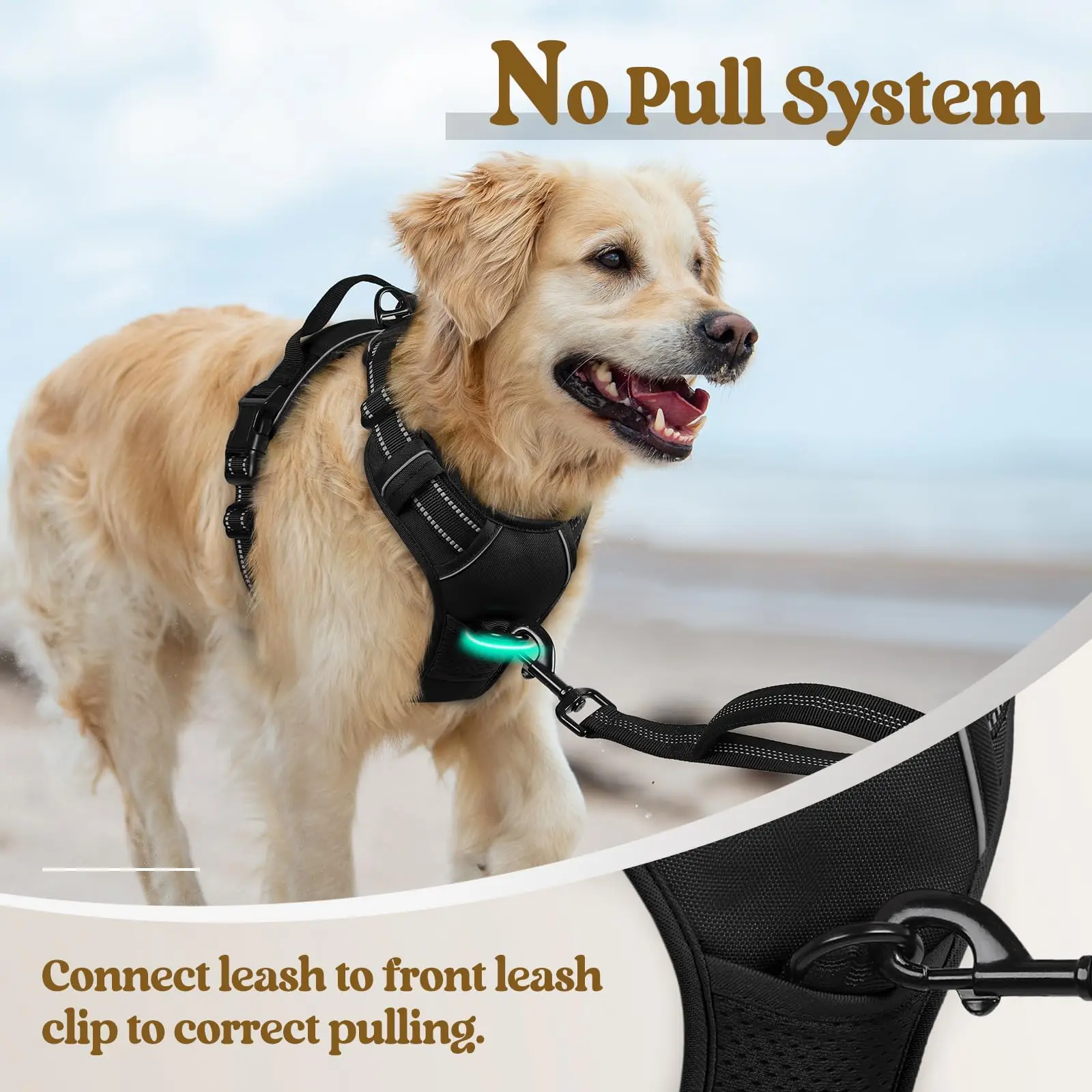 No Pull Dog Harness Front Clip 4