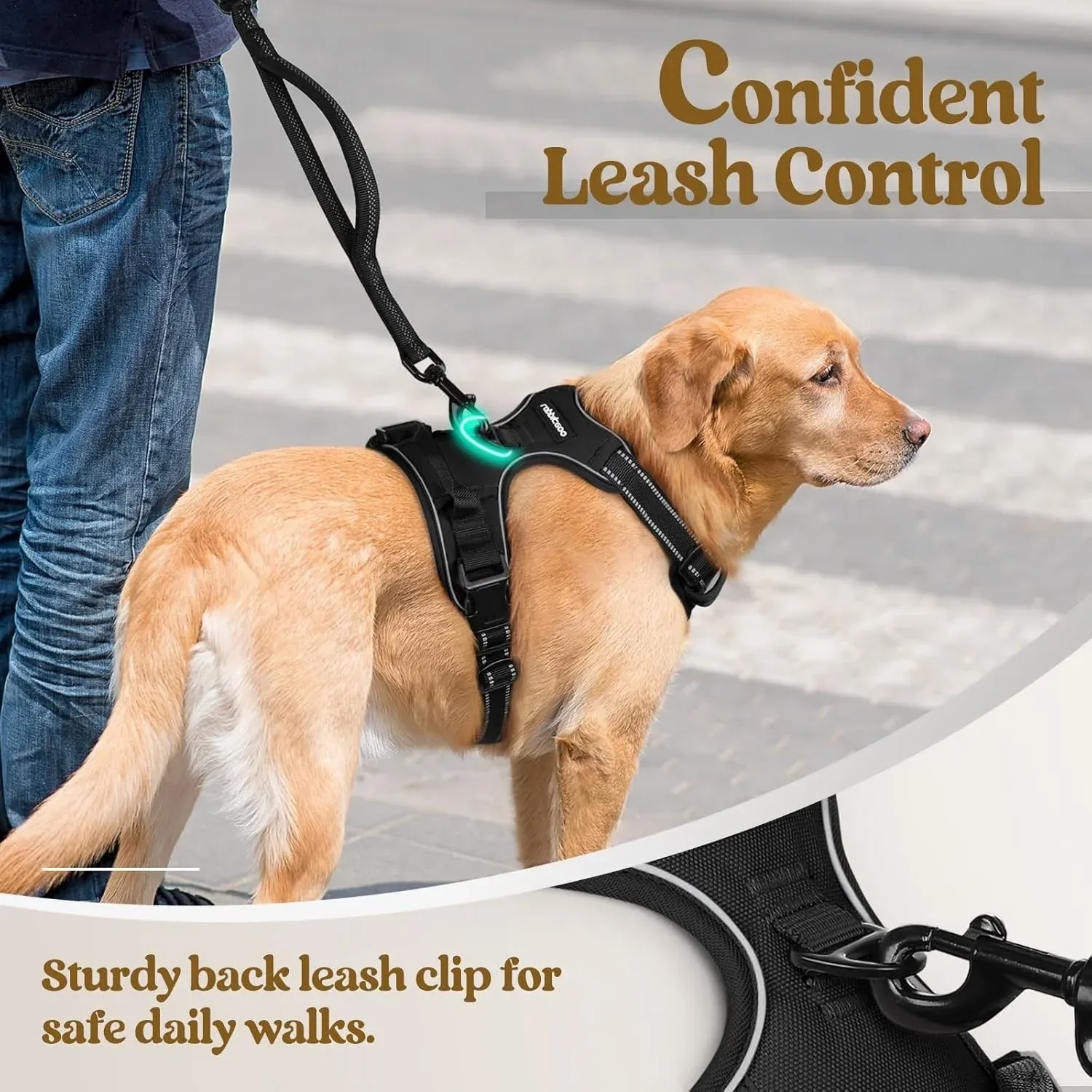 No Pull Dog Harness Front Clip 5
