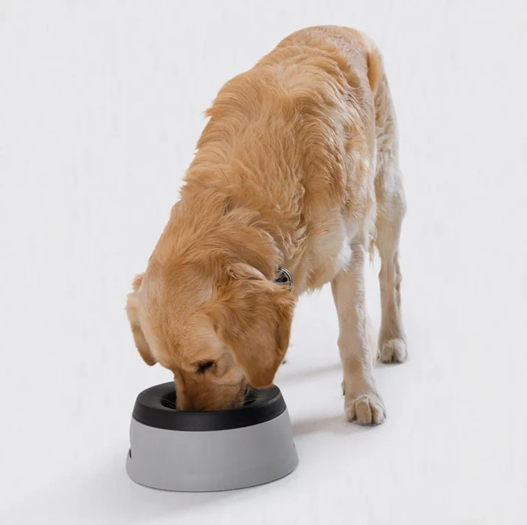 No-Spill Floating Dog Water Bowl alternate view