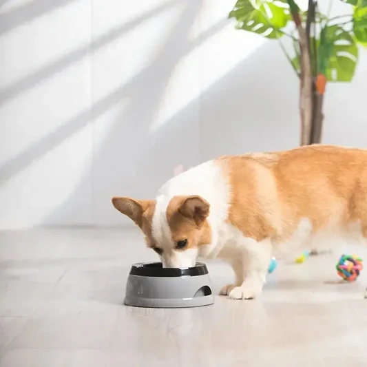 No-Spill Floating Dog Water Bowl