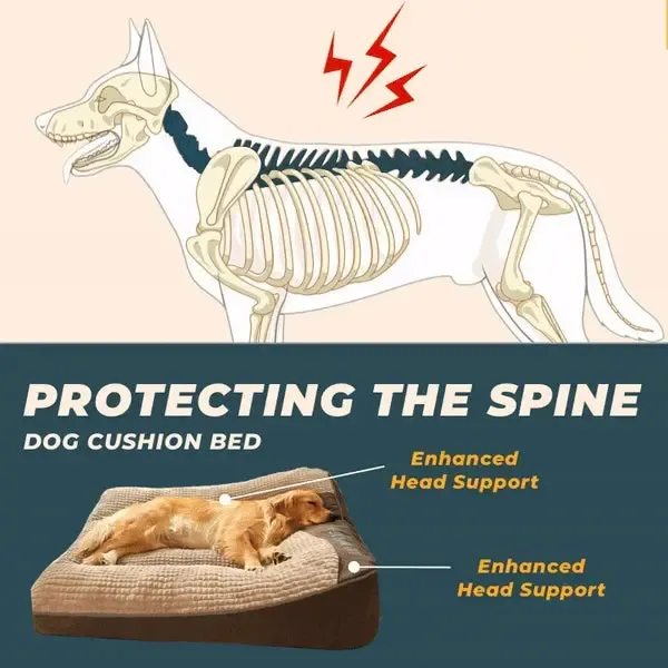 Orthopedic Dog Bed | Extra Large 5