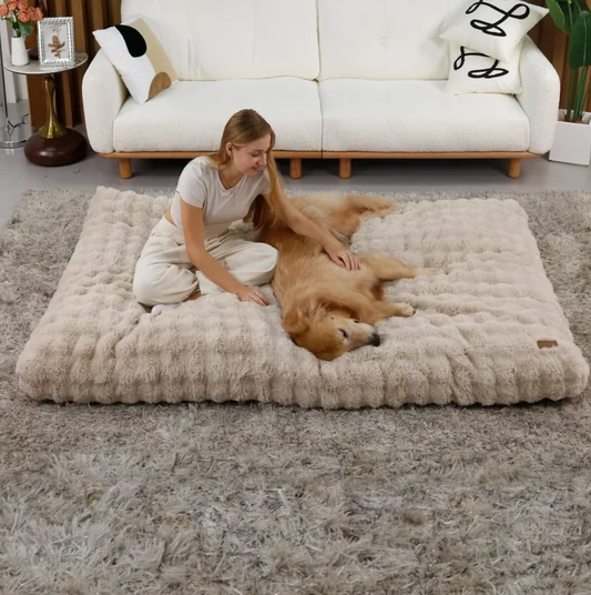 Orthopedic Dog Bed | Ultra Plush Cover for Large & Giant Breeds alternate view